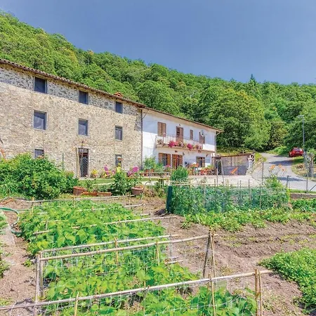 Val Di Vaiana * Renaio